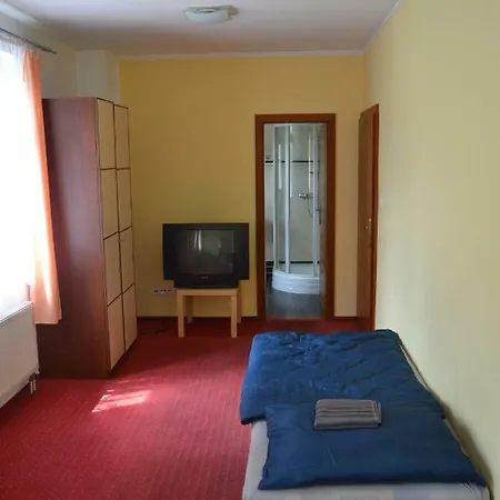 Ve Dvore Guest house *
